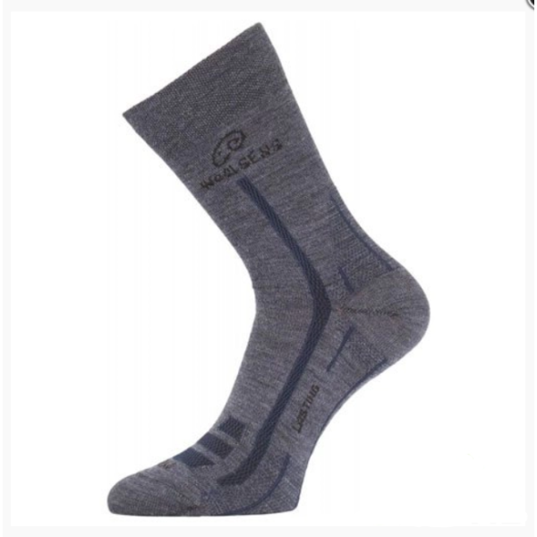 Шкарпетки Lasting WLS, 504, XL