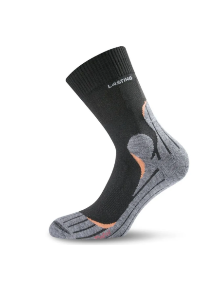 Шкарпетки Lasting TWW, 900, M