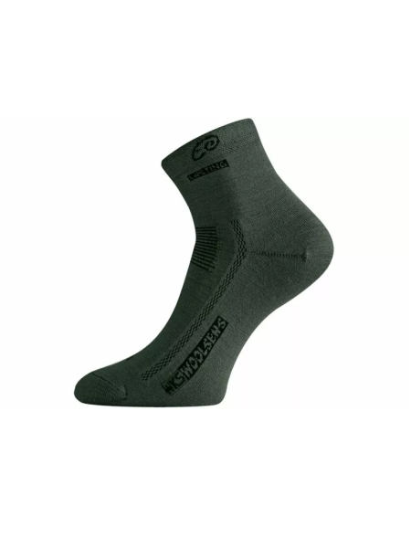 Шкарпетки Lasting WKS 620, M