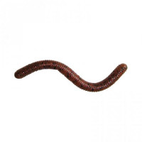 Силикон  Jackall Yammy 250 3.5" Ebimiso Red Flake