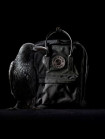 Рюкзак Fjällräven Kanken No.2 Black